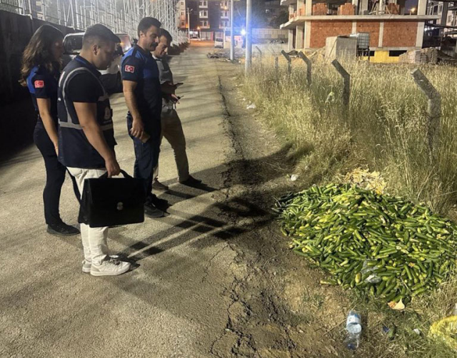 Ticaret Bakanlığından Kocaeli'de boş araziye salatalık döküldüğüne dair görüntülere ilişkin açıklama