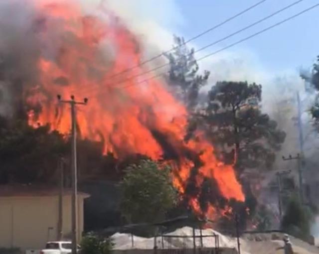 Marmaris'te yerleşim yerlerine sıçrayan yangından ilk görüntüler: Otelimiz yanıyor otelimiz