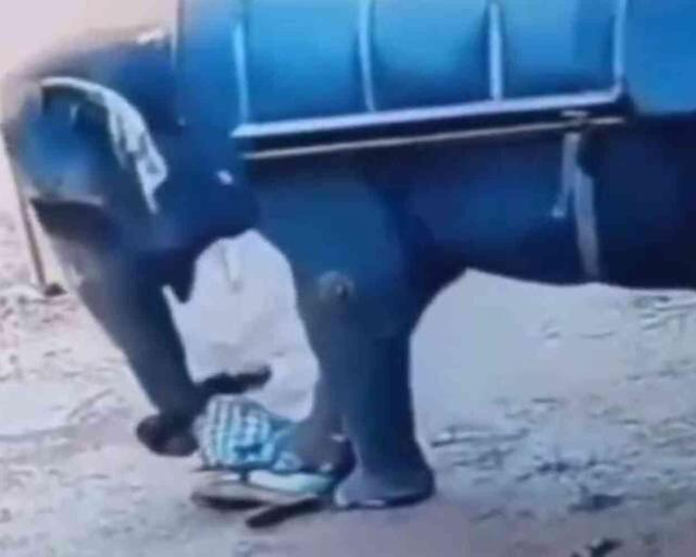 File uyguladığı şiddetin bedelini canıyla ödedi! Tonlarca ağırlıktaki ayakların altında ezildi