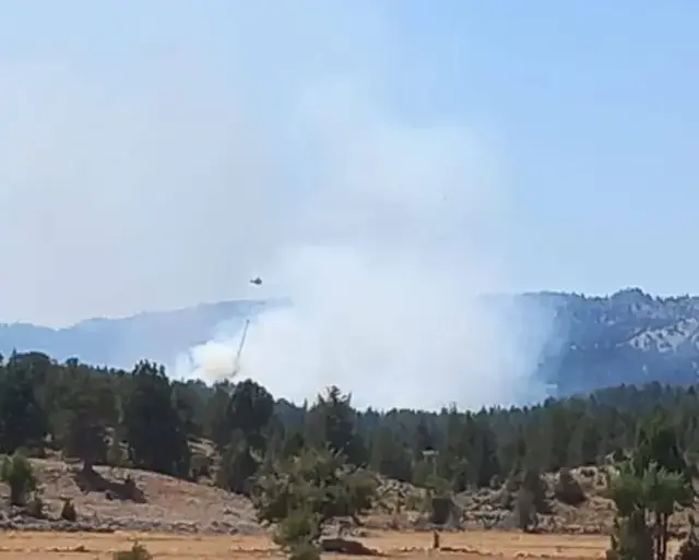 Çanakkale'de orman yangını! Alevler hızla ilerliyor, tahliyeler başladı