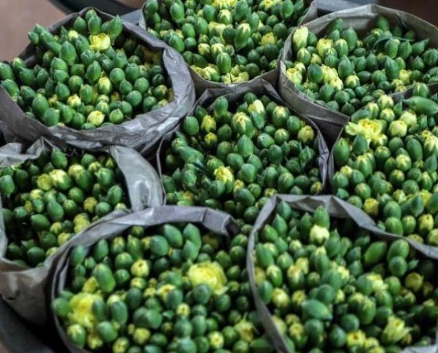 Rusya-Ukrayna savaşının Antalya tarımına faturası 233 milyon dolar