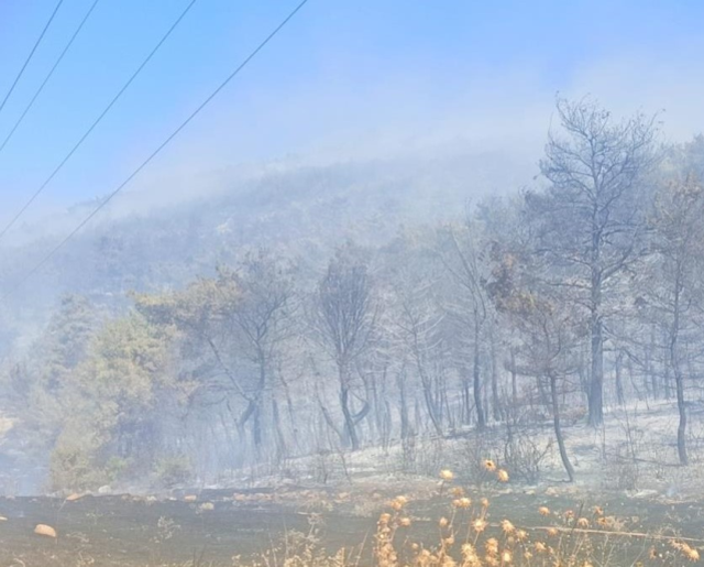 Türkiye yangın yeri! Hatay ve Manisa'dan da alevler yükseldi