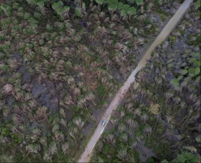 Antalya'da hortumun zarar verdiği ormanlık alan havadan görüntülendi