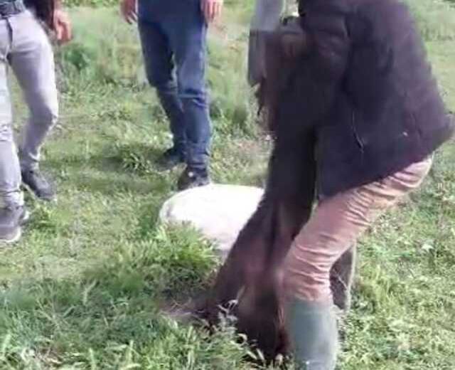 Mantar toplamaya giden vatandaşlar gördükleri manzara karşısında şok oldu