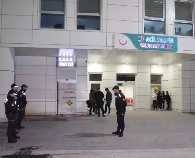 Köpek dövüşü tartışmasında genç kadın, ağabeyi ve görümcesine sopa ve bıçaklarla saldırdı