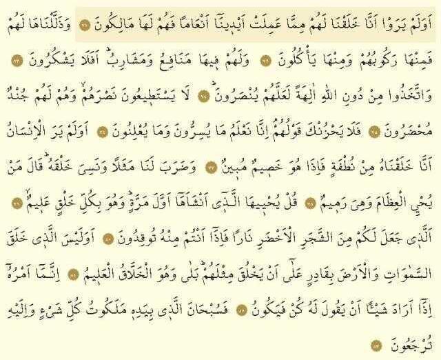 Yasin Suresi oku: Kuran-ı Kerim'in kalbi Yasin Suresi anlamı, tefsiri, meali, okunuşu nasıldır? Yasin Suresi Arapça yazılışı ve okunuşu!