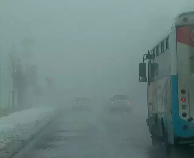 Erzurum bahar ortasında kışı yaşadı! Gece lapa lapa kar yağdı, sabah sis bastırdı