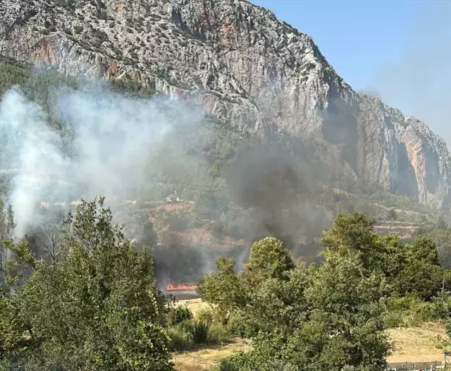 Kara yolunda çıkan yangın ormanlık alana sıçradı