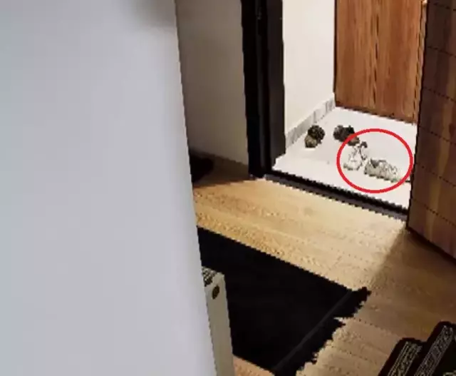 Güllü'nün ölümünde şok iddia: O gece eve iki erkek girdi