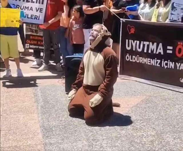 Kilis'te ilginç gösteri: Köpek kostümü giyen adam hüngür hüngür ağladı