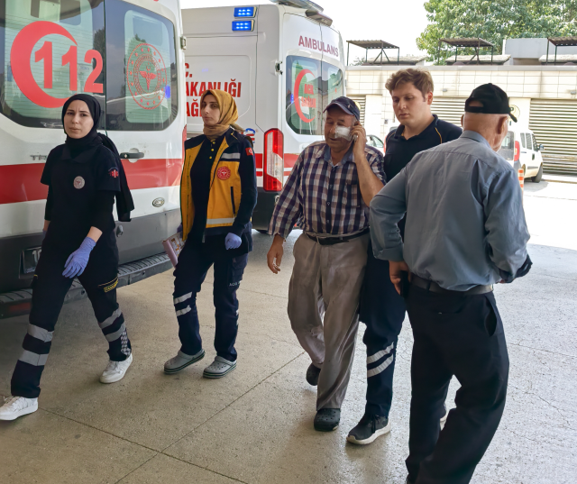 Kendisini hortumla serinletmeyen bahçıvanı tekme ve yumrukla darbetti