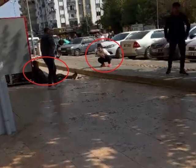 Diyarbakır'da oyun merkezinde çıkan kavgada ağır yaralanan kişi hastanede hayatını kaybetti