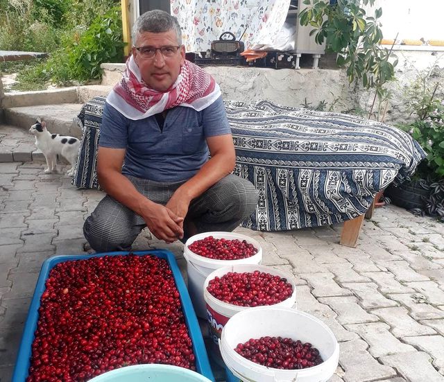 Kızılcık üretimini kırağı vurdu! Verim düşünce fiyat 50 TL'ye çıktı