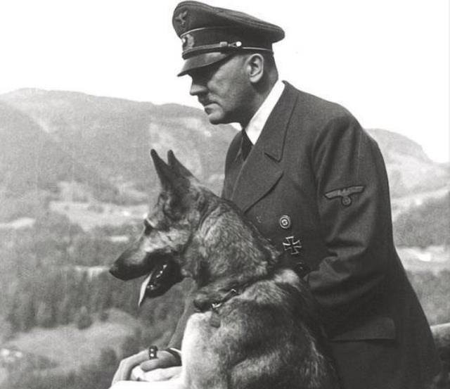 Bahçeli'nin atadığı il başkanının MHP lideri hediye ettiği montajlı fotoğraf dalga konusu oldu