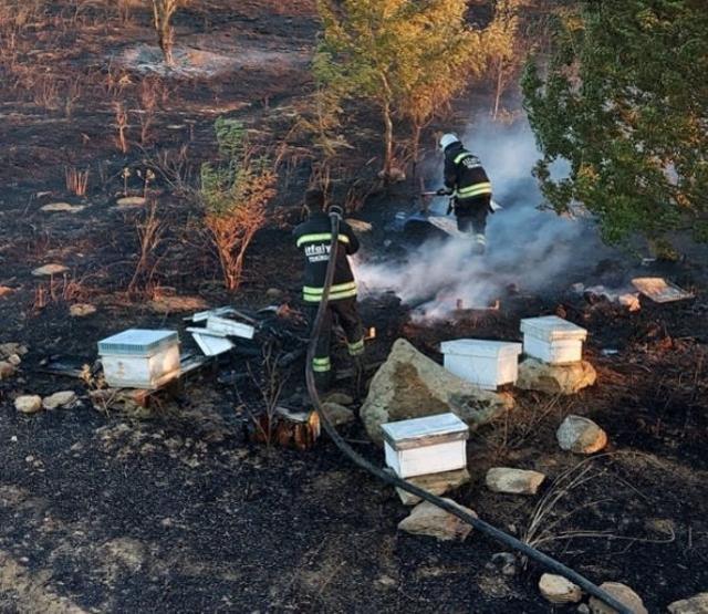 Anız yangını kovanlara sıçradı, binlerce arı diri diri yandı