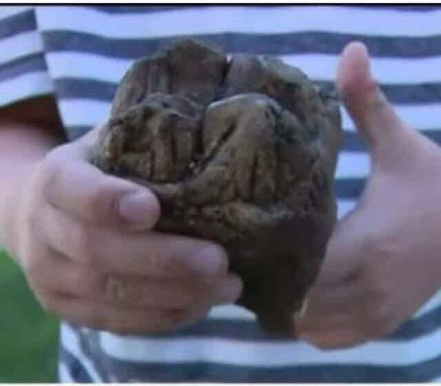 Ormanda ailesiyle birlikte yürüyüş yapan çocuğun ayağına 12 bin yıl önce yaşayan hayvanın dişi takıldı