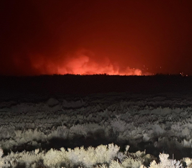 Mersin'deki Göksu Deltası'nda yangın