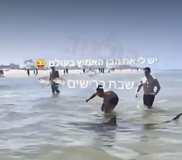 Uyarıları dikkate almayan adam, köpek balığı saldırısına uğradı