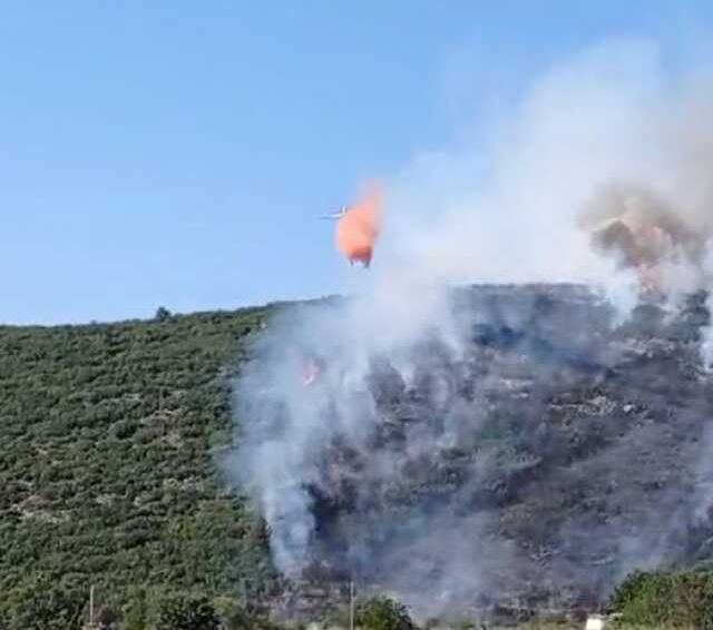 Gaziantep'te Orman Yangınına Havadan ve Karadan Müdahale