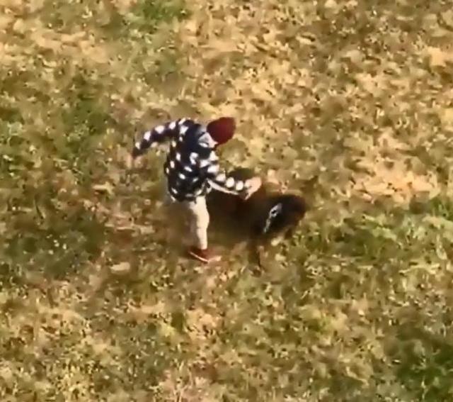 Köpeğe tekme atana 'Bana vur bana' diyerek tepki gösterdi