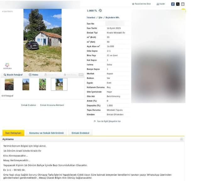 İstanbul'da şoke eden kiralık ev ilanı: Kira yok ama bazı şartlar var