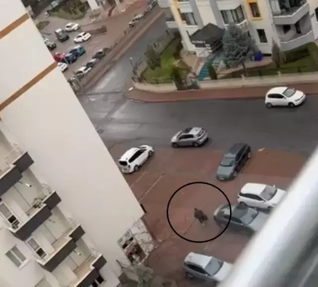 Apartman görevlisinin eşini öldüren emekli başçavuşun korku filmlerini andıran görüntüsü