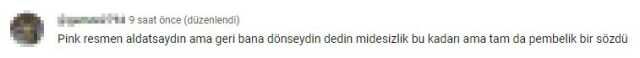 Kızılcık Şerbeti'nde ihanete uğrayan Pembe'nin 'Hevesini alıp gelseydin' demesi tepki çekti