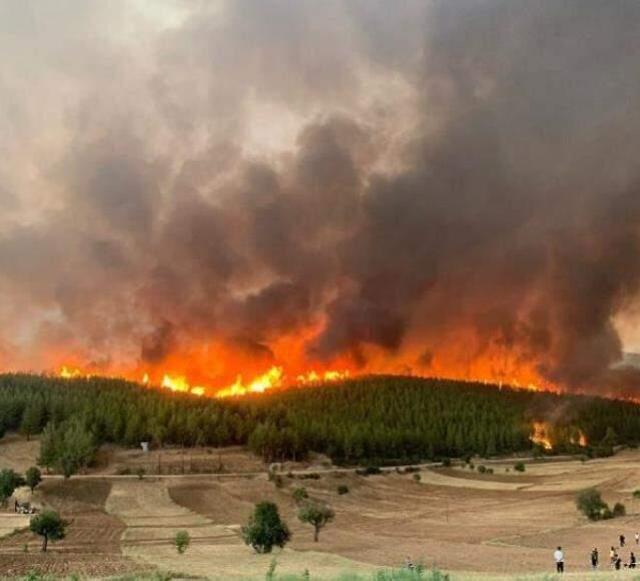 192 yangın kontrol altına alındı, 5 ilde alevlere müdahale ediliyor! İşte il il son durum