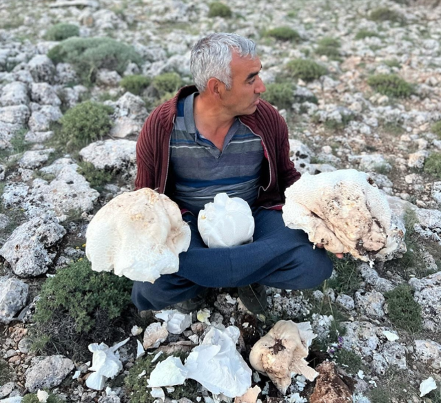 Eşiyle birlikte çıktığı yaylada dev mantarlar buldu