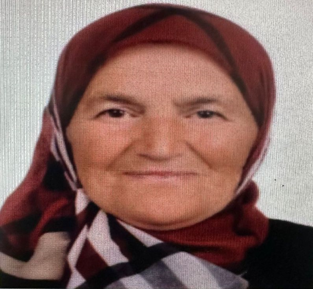 Defne yaprağı toplamak için ormana giden Zehra Teyze sırra kadem bastı