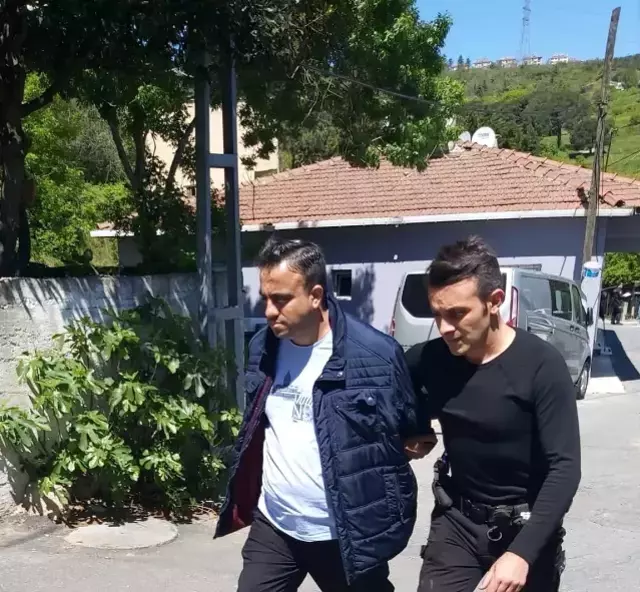 İstanbul'da ağabey dehşeti: Kardeşini 7 yerinden bıçakladı