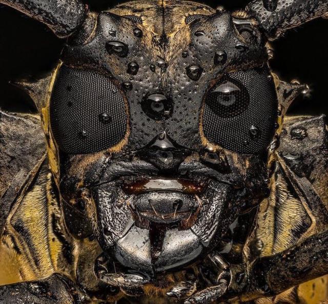 Bu fotoğrafın ne olduğunu kimse tahmin edemiyor! Öğrenince siz de şaşıracaksınız