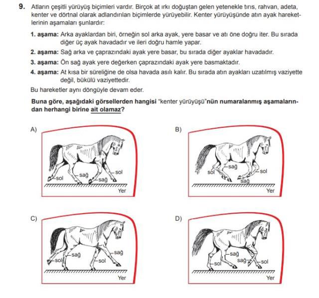 LGS'deki at sorusunun cevabı nedir?