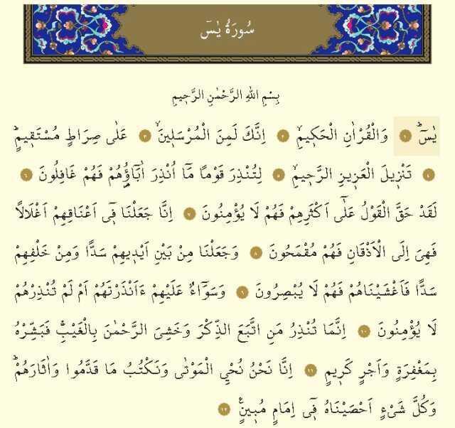 Yasin Suresi okunuşu ve Arapça yazılışı! Yasin Suresi hangi sayfada, kaç sayfa? Yasin Suresi nasıl okunur, Türkçe meali nedir?