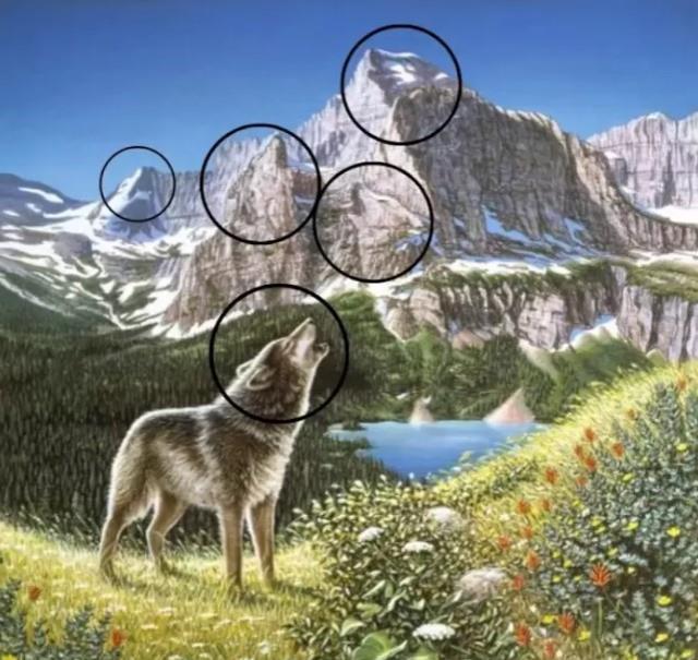 Görselde 5 kurt var ama 150 kişiden hiçbiri göremedi