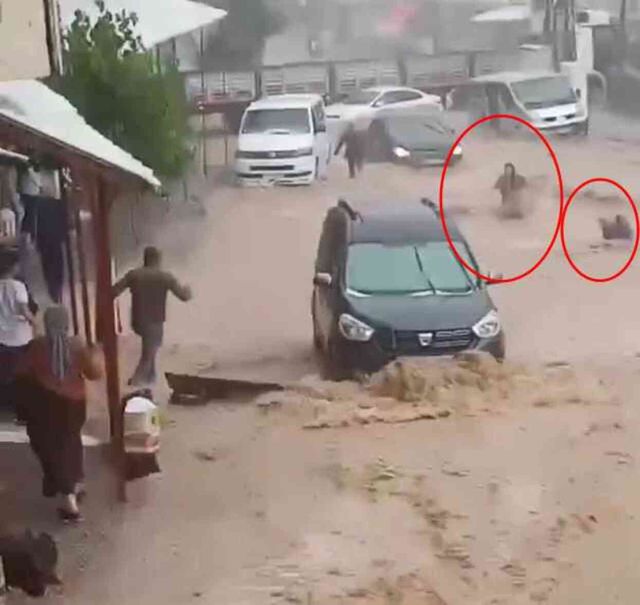 Şırnak'ta sel sularına kapılan 1'i çocuk 2 kişiyi çevredekiler kurtardı
