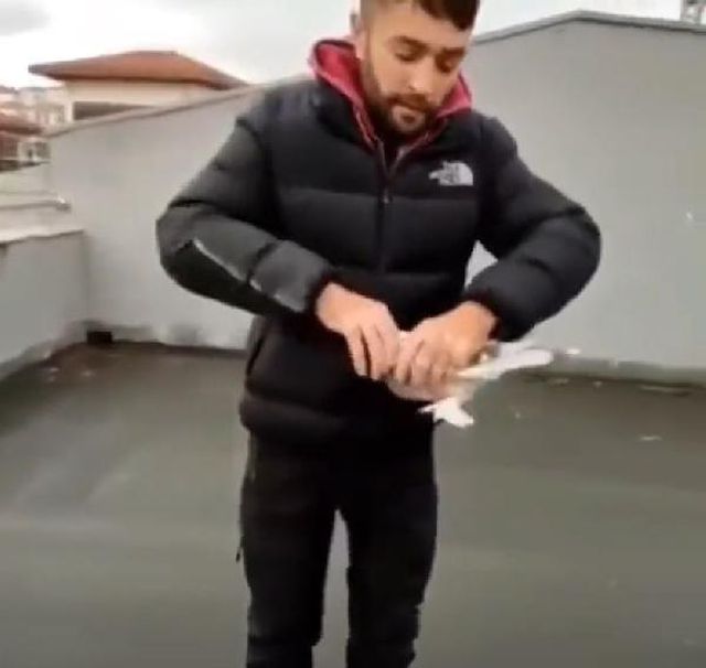 Beslediği güvercinin kafasını koparıp paylaştı, hakkındaki karar hayvanseverleri memnun etmedi