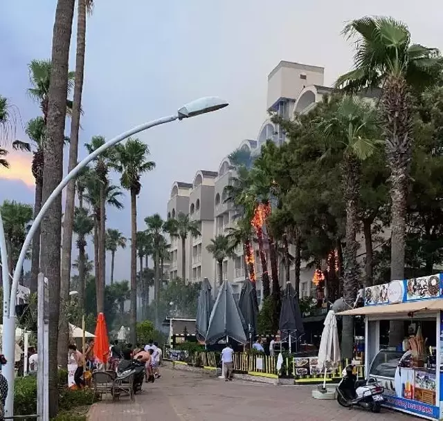 Marmaris'teki yangını oyun oynayan çocuklar çıkardı iddiası! Pedagogların karakola gelmesi bekleniyor
