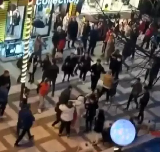 Avcılar'da genç kızların kedi kavgası! Vatandaşlar güçlükle ayırdı