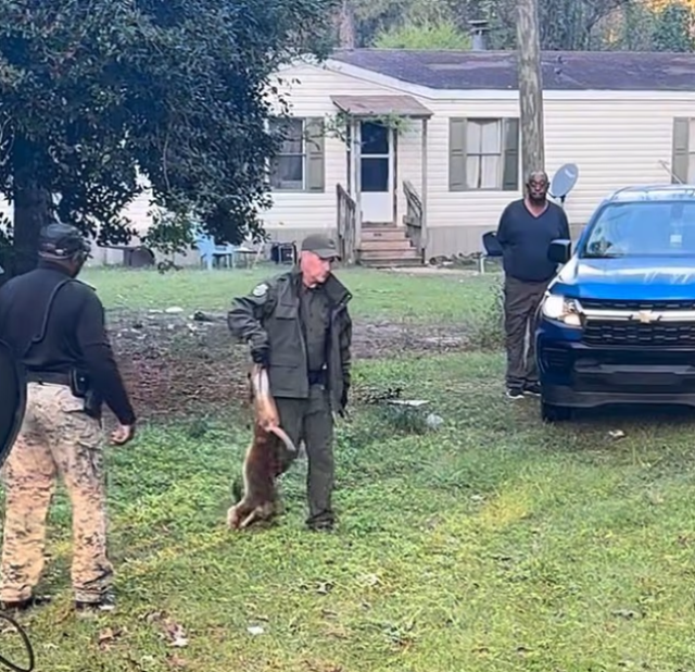 Anne, çocuklarını korumak için hastalıklı maymunu öldürdü