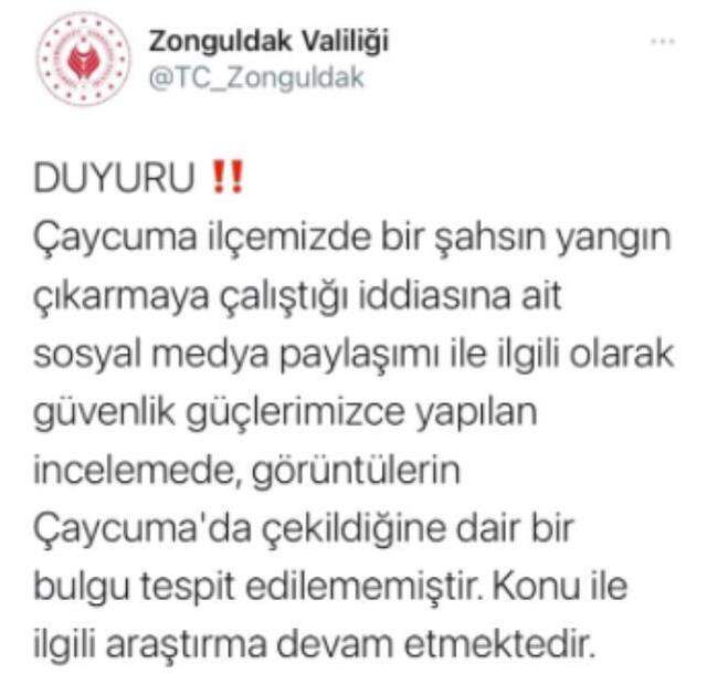 Ağacı ateşe vermeye çalıştıkları o an kamerada