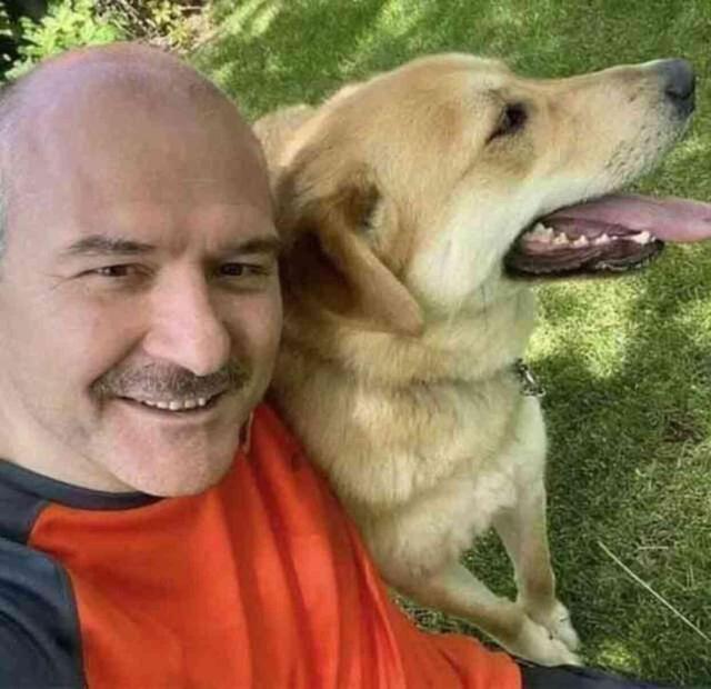 Başıboş köpeklerin uyutulması fikrine Soylu da karşı çıktı iddiası: Gönlüm razı değil