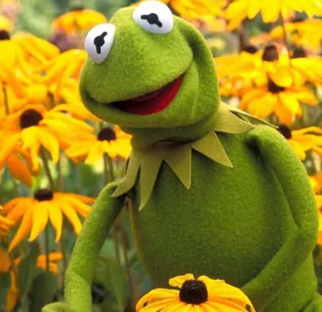 Seren Serengil'den Hadise'nin makyajsız pozlarına olay yorum: Kermit