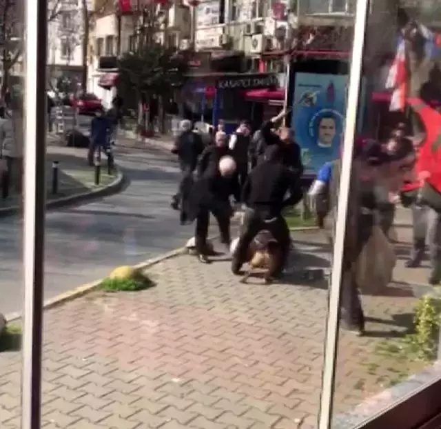 İstanbul'un göbeğinde pitbull dehşeti kamerada