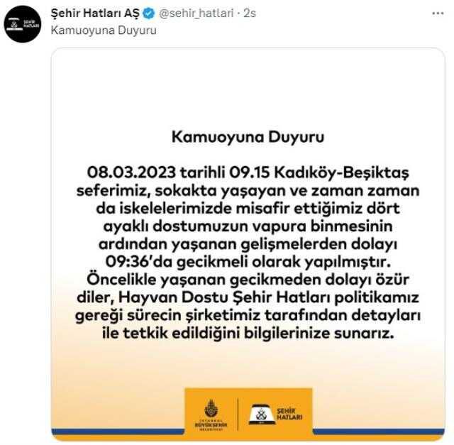 Kadıköy-Beşiktaş vapuruna sokak köpeği bindi, seferi iptal eden kaptana yolculardan tepki