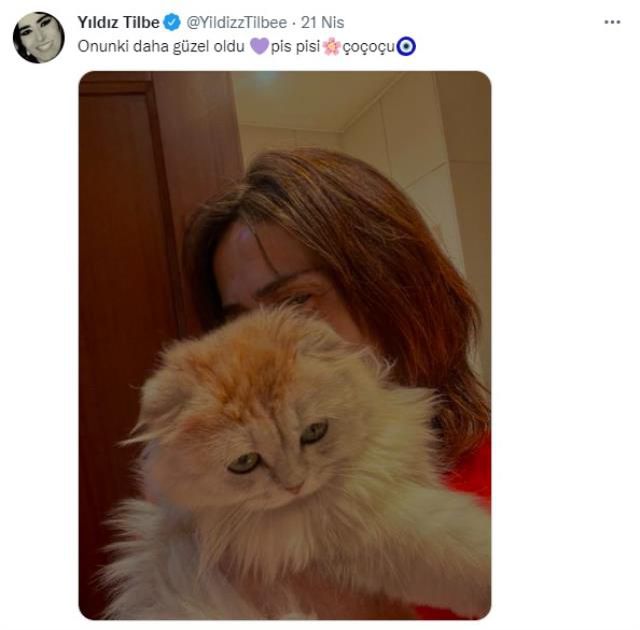 Daha önce 'Saldırgan köpekleri zehirleyin' diyen Yıldız Tilbe, bu sefer de kedisinin tüylerine kına yaktı
