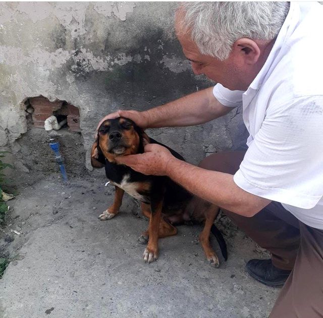 Köpeği ezdi, yoluna devam etti, o anlar kameraya yansıdı
