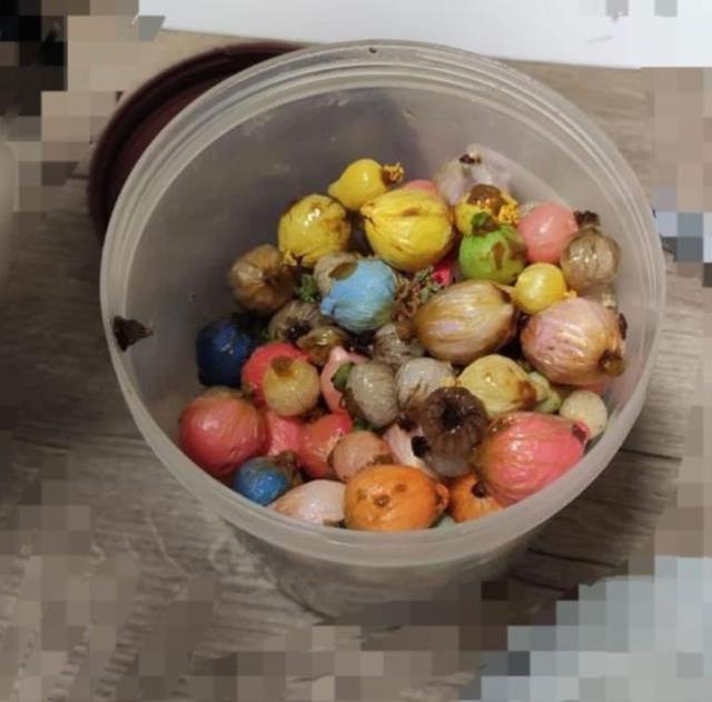 Otelde ölü bulunan uyuşturucu kuryesinin midesinden 552 gram uyuşturucu çıktı