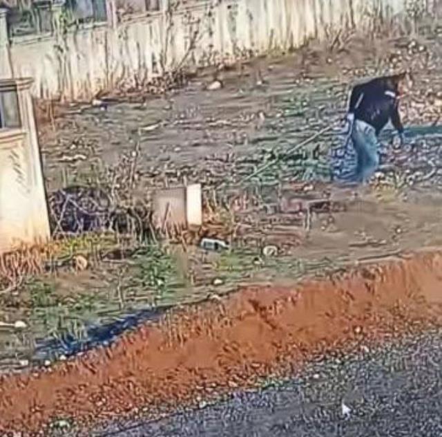 Minibüsün altında kalan köpeğe akılalmaz muamele! Barınak çalışanı açığa alındı