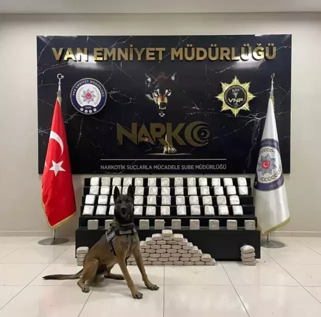 Narkotik polisinin sevimli dostları! Magnum ve Bobi, hassas burunlarıyla uyuşturucuya geçit vermiyor